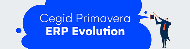 ERP Primavera Evolution